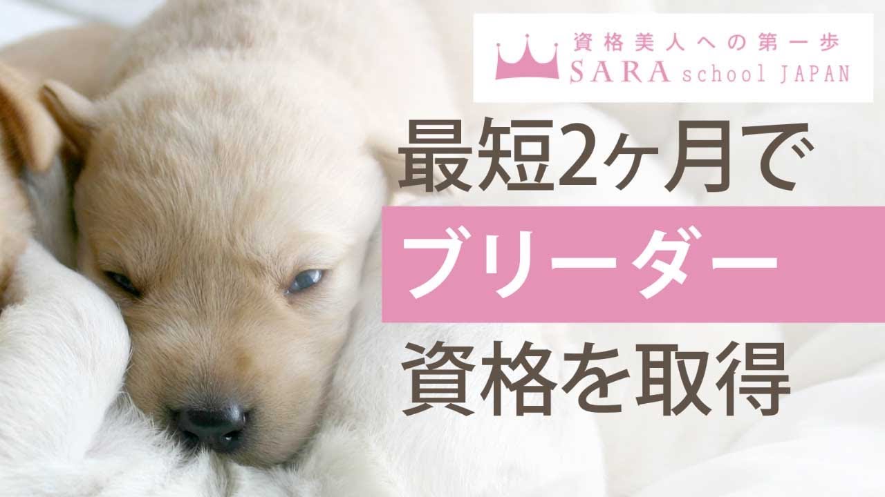 ペットブリーダー資格検定（犬・猫）の通信教育・通信講座 | SARAスクール