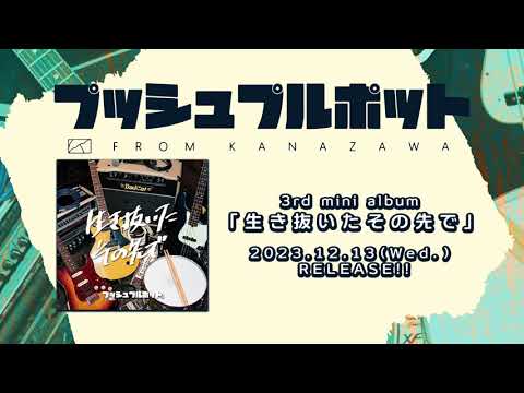 動画配信｜プッシュプルポット OFFICIAL SITE