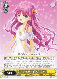 デッキ紹介 8扉サマポケ | トレカの買取・通販ならカードショップ -遊々亭-