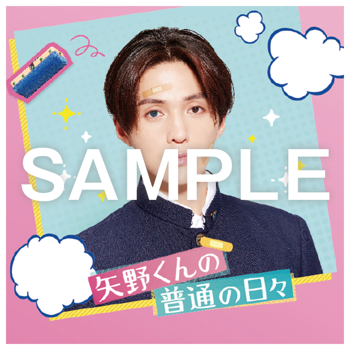 DVD 矢野くんの普通の日々 映画 八木勇征 中村海人 特典ポストカード