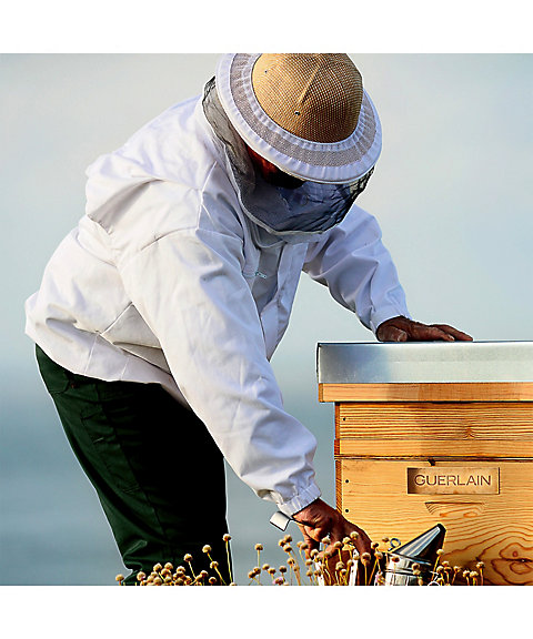 GUERLAIN（GUERLAIN） アベイユ ロイヤル フォーティファイング