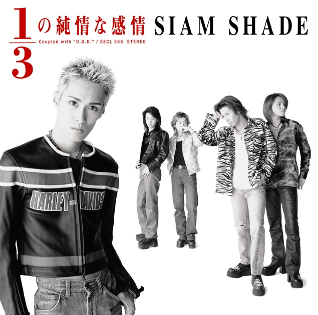 SIAM SHADE VIII B-side Collection - SIAM SHADEのアルバム - Apple Music