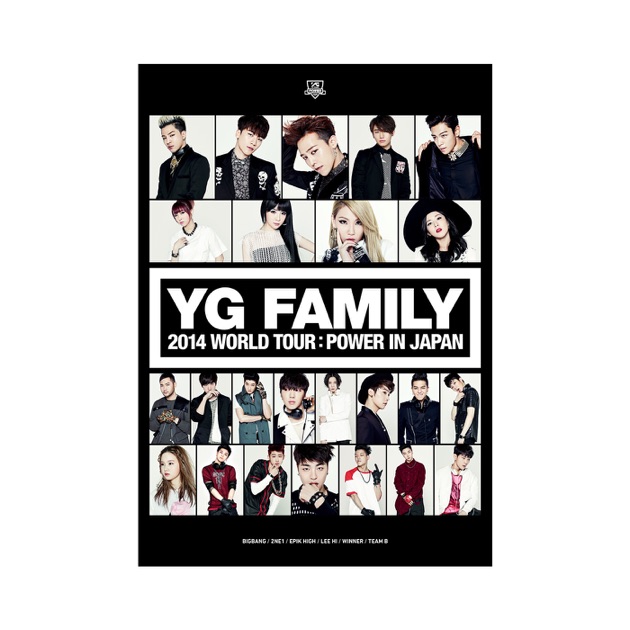 YG FAMILY WORLD TOUR 2014 -POWER- in Japan - Various Artistsの