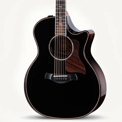 Taylor Guitars | ギターとアクセサリーを買う