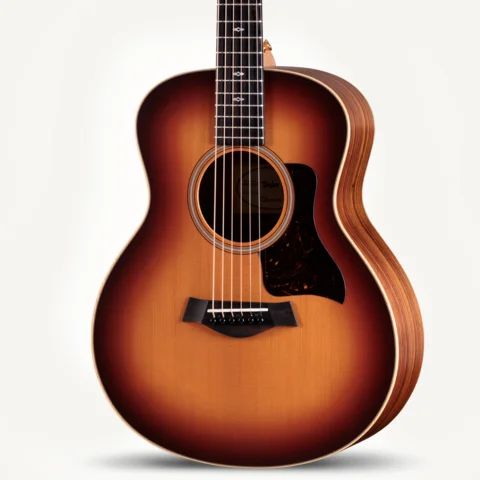 ミニギター: GS Mini シリーズ | Taylor Guitars
