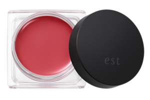 est LIMITED POINT MAKEUP SERIES｜est（エスト）