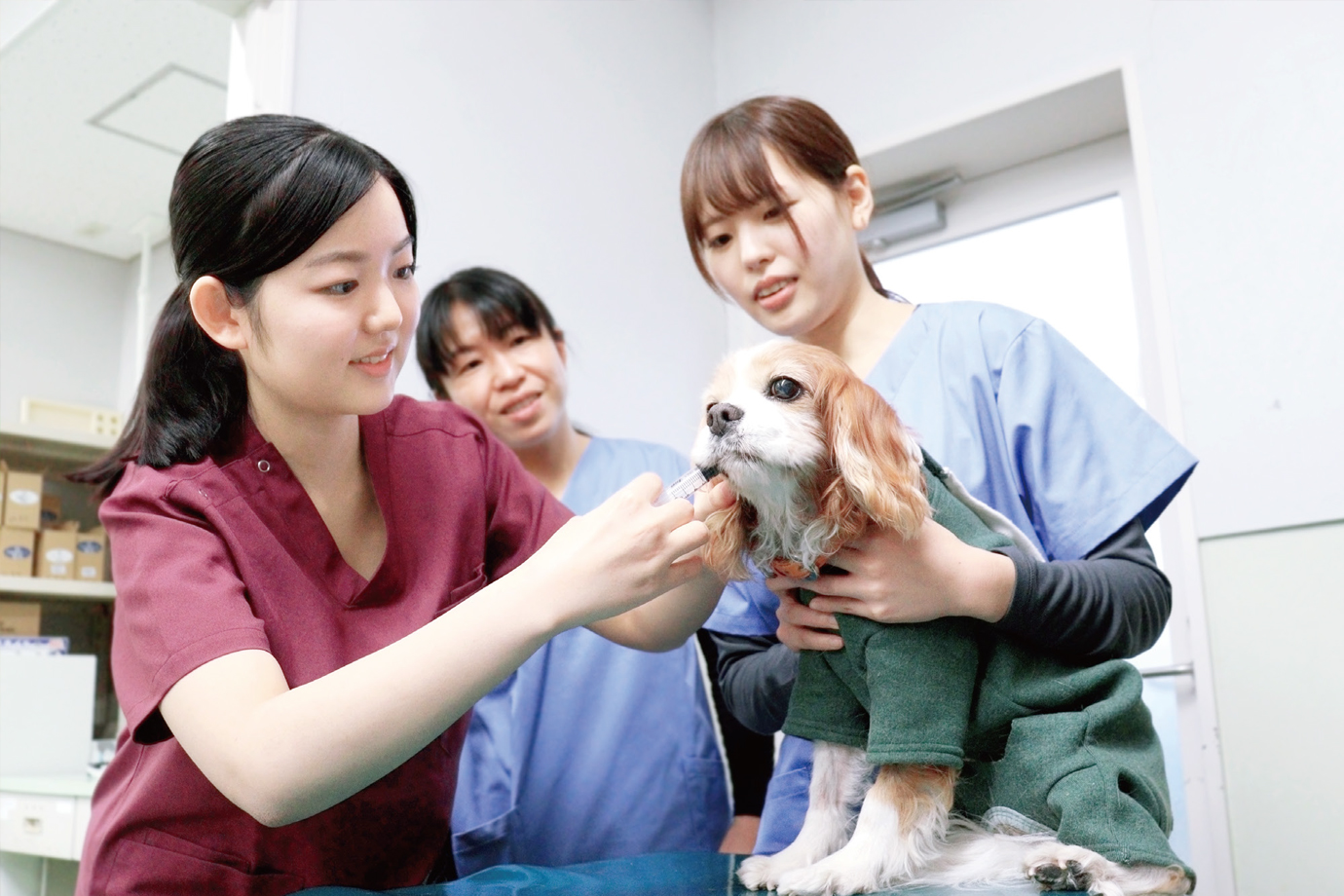 麻布大学|ラボナビ