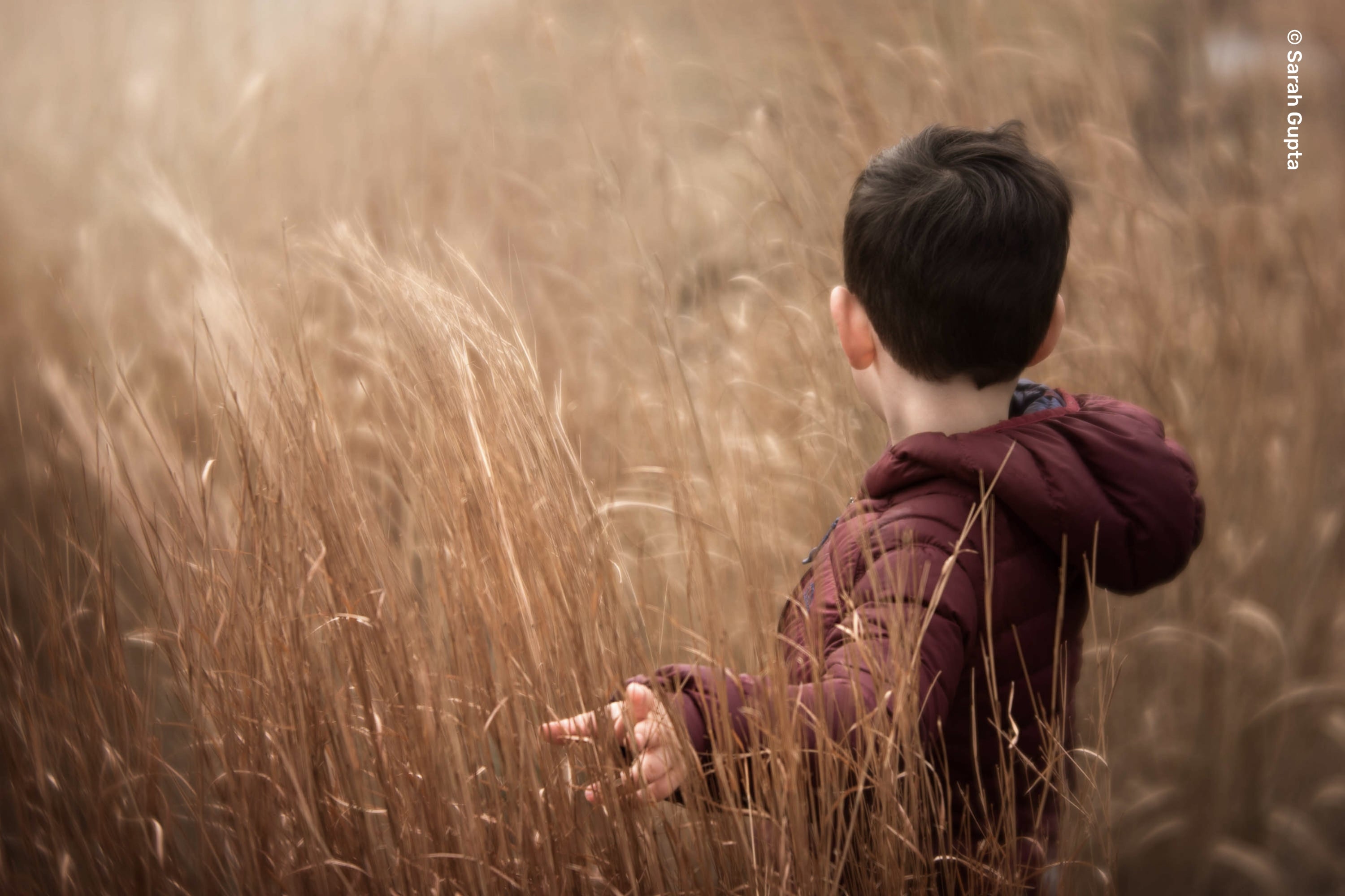 Velvet 56 | Creative Portrait Camera Lens | Lensbaby