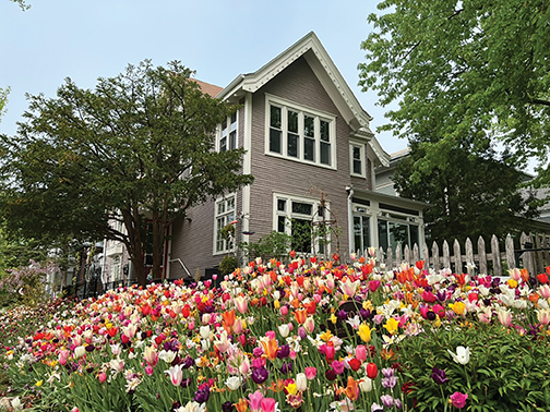 Neighbors Honor Memory of The “Tulip House Lady” - Hill & Lake Press