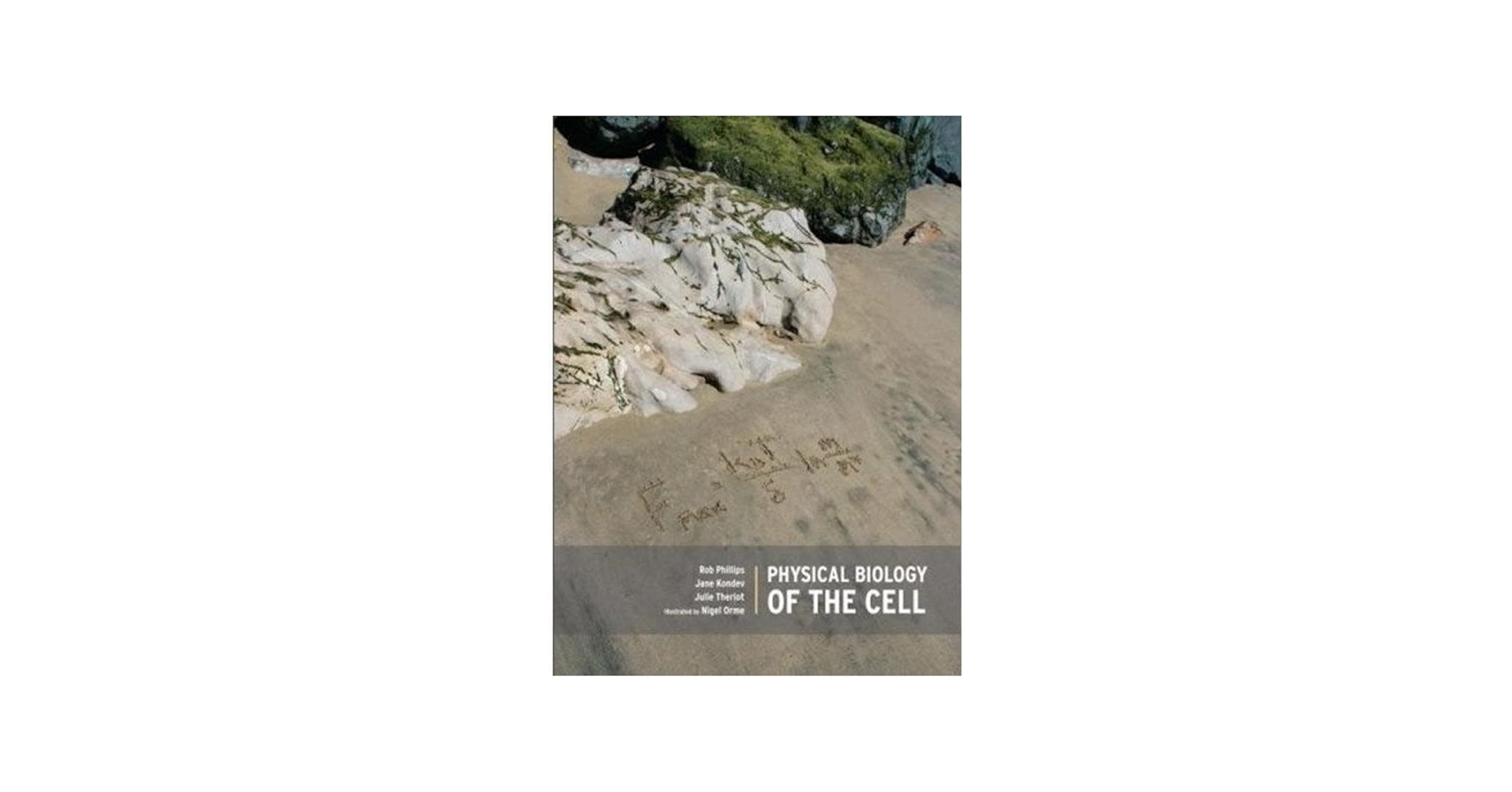 Physical Biology of the Cell: Rob Phillips, Jane Kondev, Julie