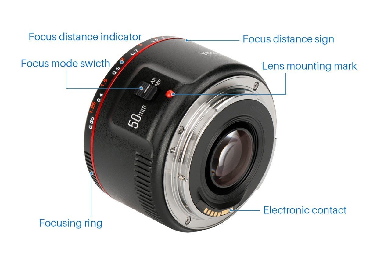 Amazon.co.jp: YONGNUO 単焦点レンズ Canon YN50mm F1.8 II EFマウント