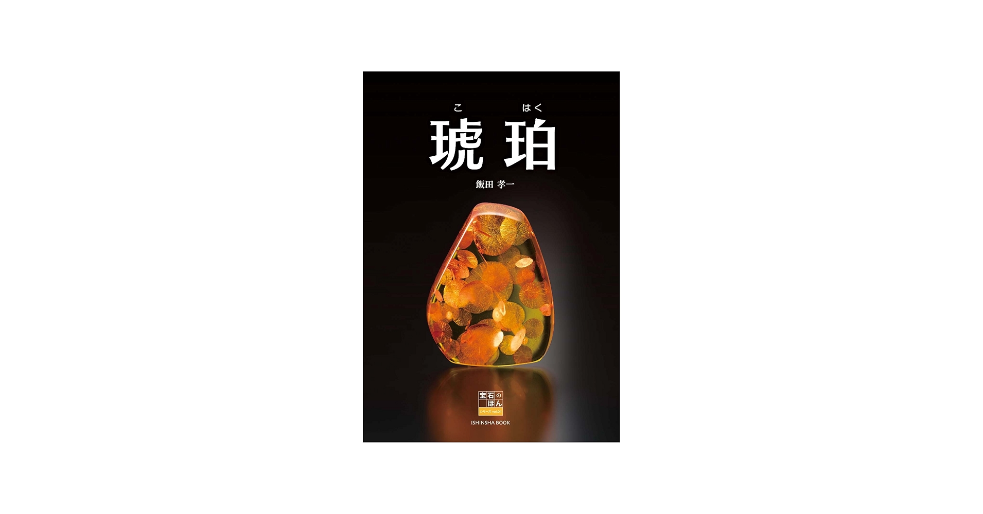 Amazon.com: 琥珀 (飯田孝一 宝石のほんシリーズvol.1): 9784904850503
