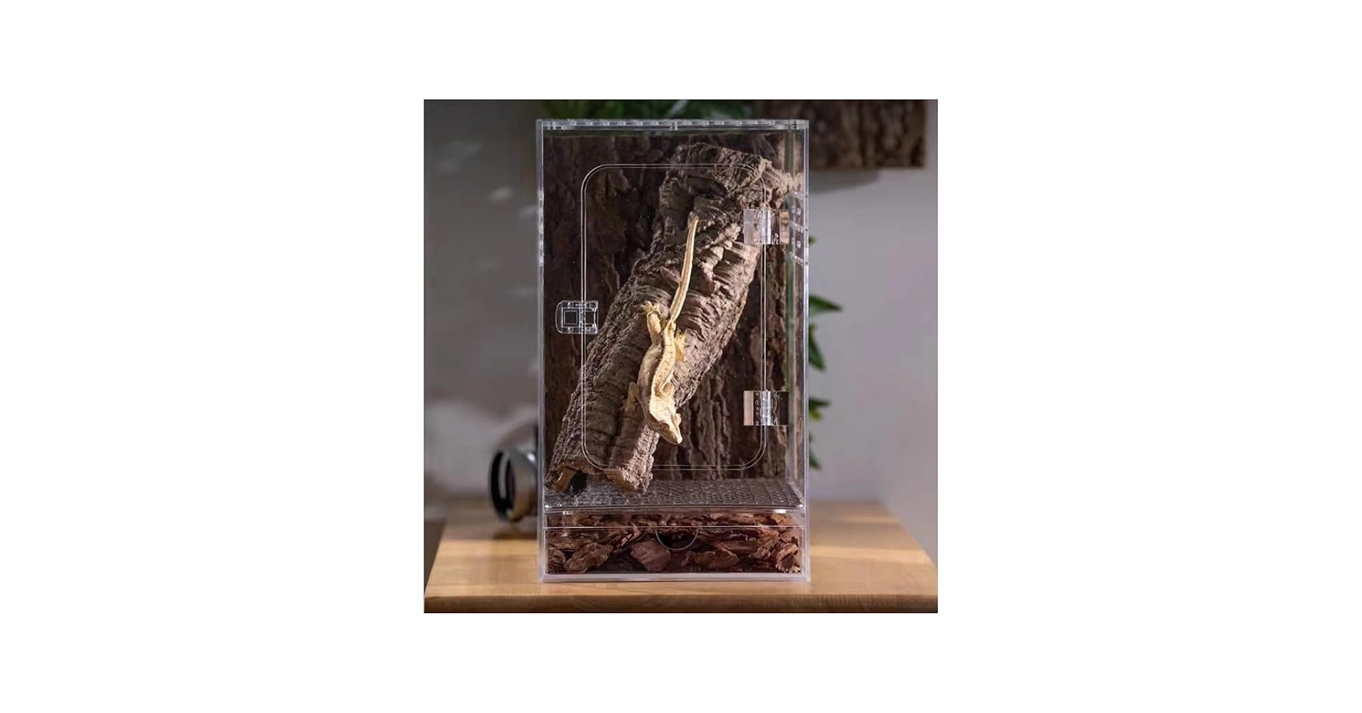 Amazon.co.jp: 爬虫類 飼育ケース レプタイルボックス 透明アクリル