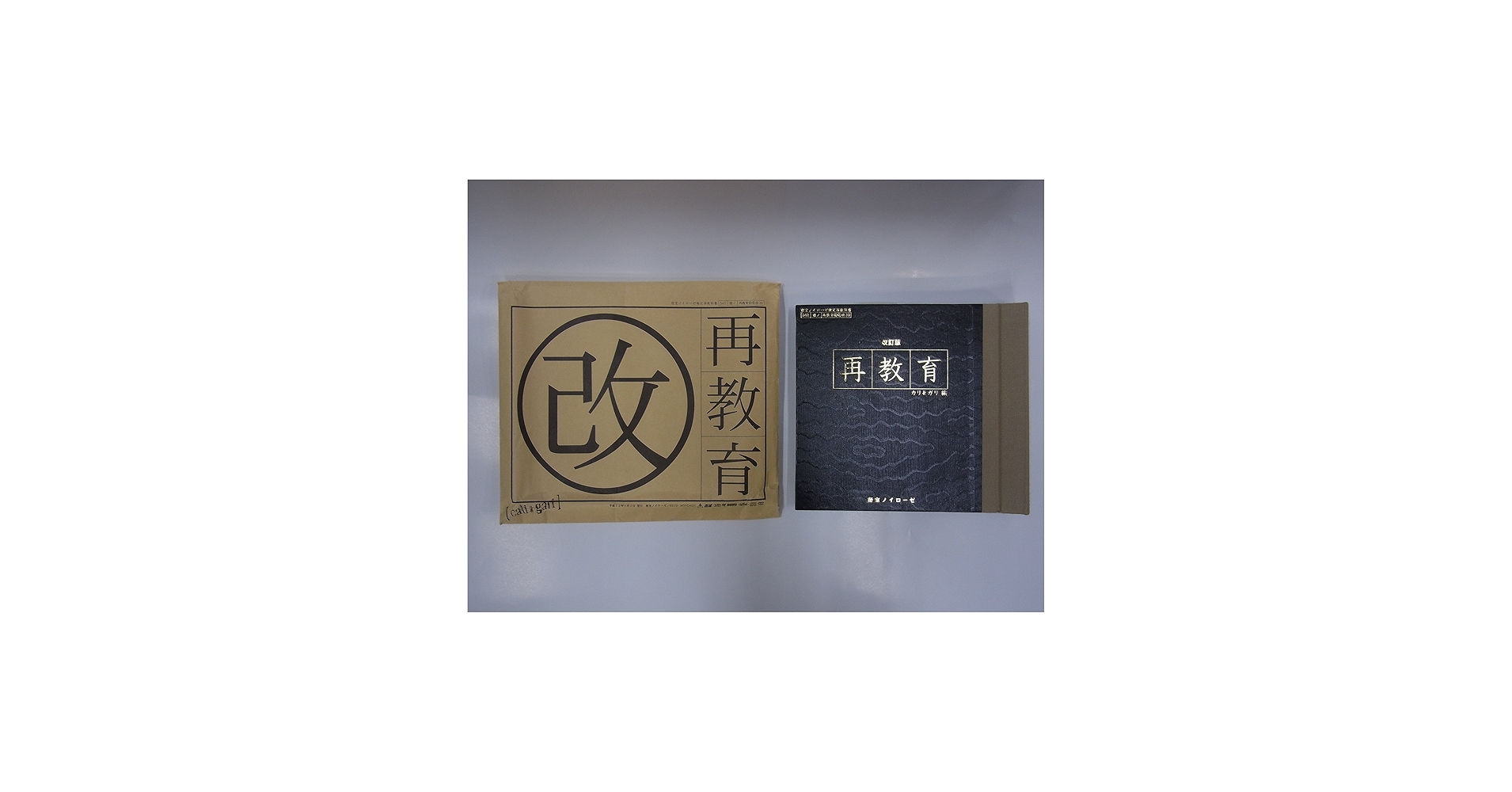 Amazon.co.jp: 再教育 改訂版: ミュージック