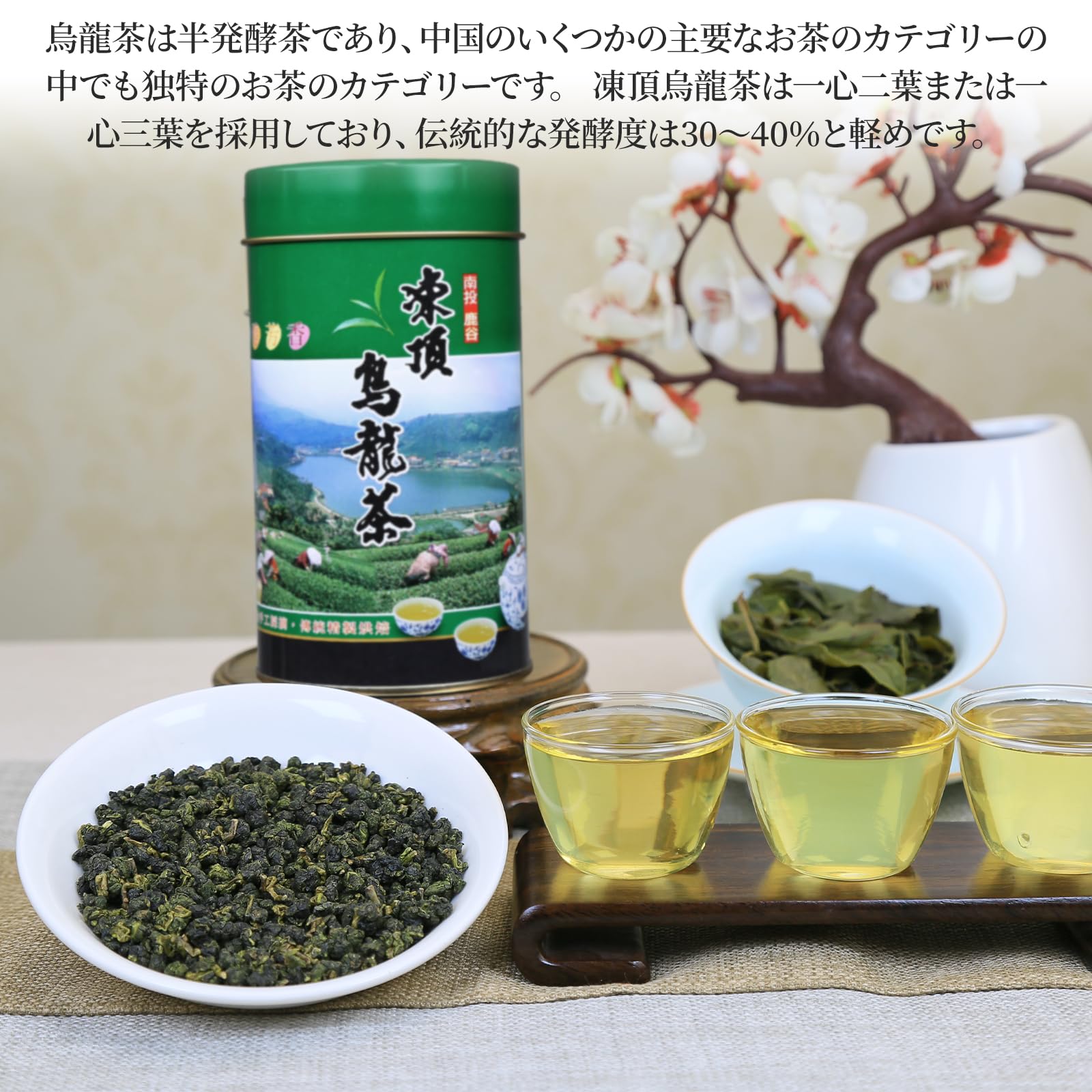 Amazon.co.jp: 煕渓 烏龍茶 台湾茶 高山茶 台湾烏龍茶 凍頂烏龍茶 150g
