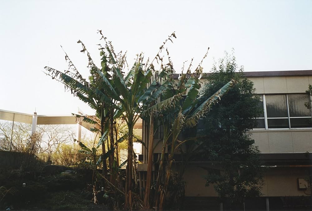 至るところで 心を集めよ 立っていよ | 清野 賀子 |本 | 通販 | Amazon