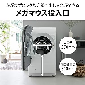 Amazon | シャープ ドラム式 洗濯乾燥機 ハイエンドモデル ES-X11A-TL