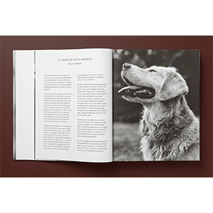 Amazon.com: Bruce Weber. The Golden Retriever Photographic Society