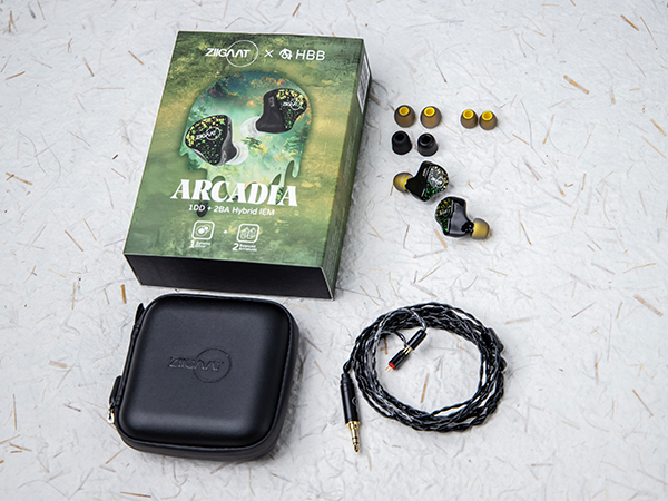 Amazon.co.jp: Linsoul ZiiGaat Arcadiaハイブリッド型ドライバー構造