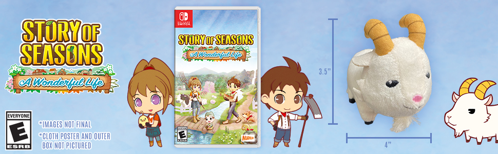 Amazon.com: XSEED Games STORY OF SEASONS: A Wonderful Life