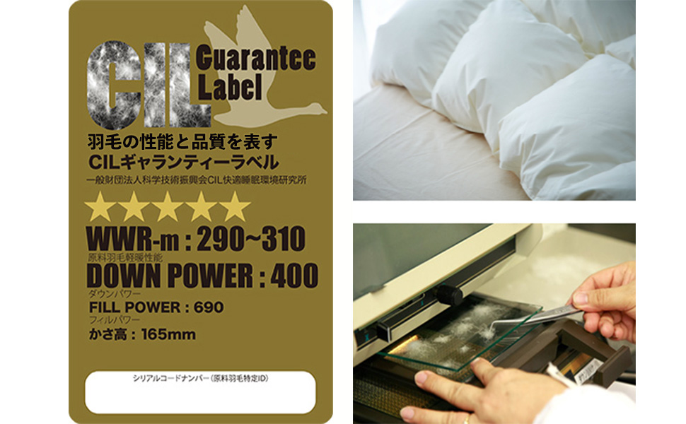 Amazon｜羽毛布団 シングル 合い掛け ハンガリー産 ホワイトダウン 93