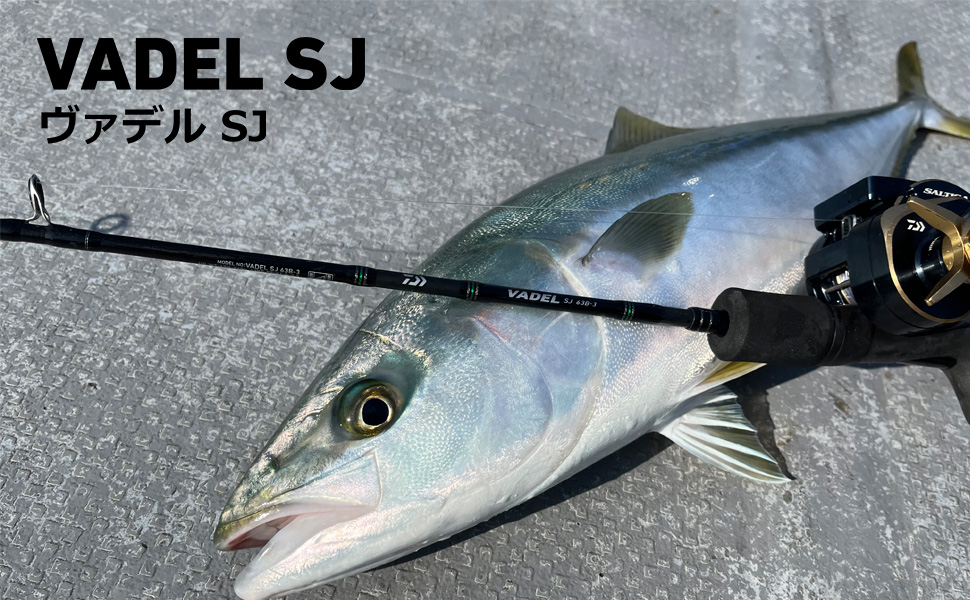 Amazon | ダイワ(DAIWA) スロージギング ヴァデル(VADEL) SJ (2022