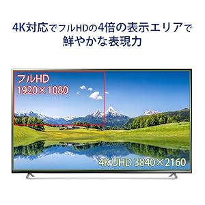 Amazon.co.jp: I-O DATA モニター ディスプレイ LCD-M4K551XDB2 (55