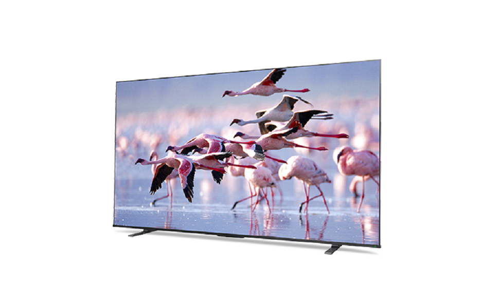 Amazon | レグザ 43V型 液晶テレビ 43Z670K 4Kチューナー内蔵 外付け