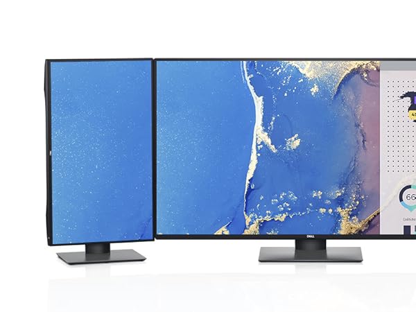 Amazon.com: Dell U4320Q 43 Inch 2160p 4K UltraSharp, IPS Thin