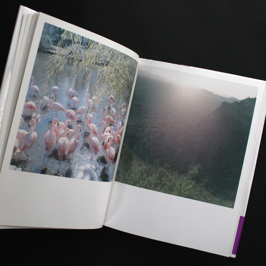 アイーラ（改訂版, 署名） / Aila（Revise Edition, Signed） - 川内