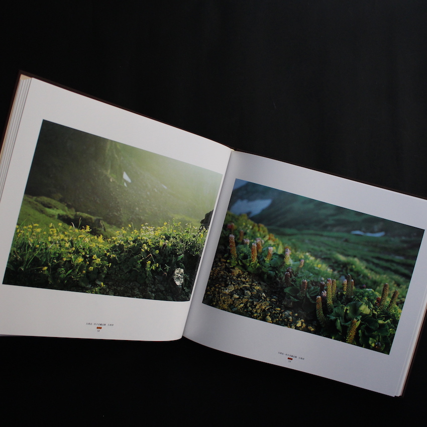 信濃遊行 / Shinano-Yugyo（Signed） - 北井 一夫 / Kazuo Kitai