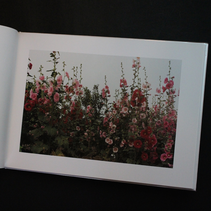 The Sign of Life - 清野 賀子 / Yoshiko Seino