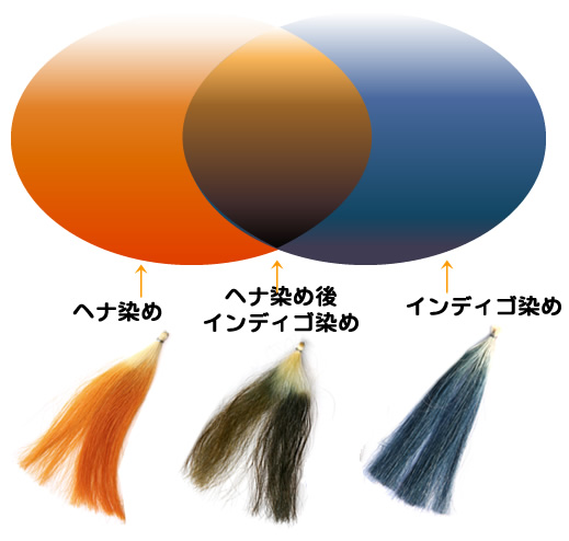 ヘナインディゴ白髪染めセット