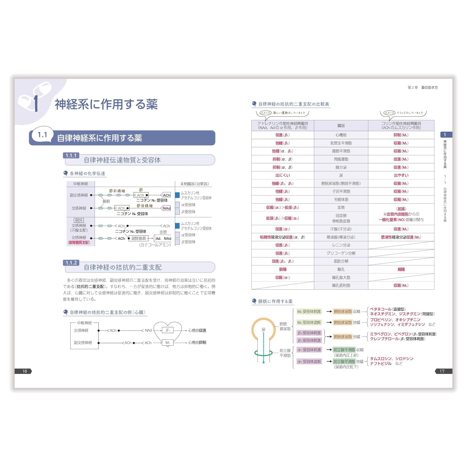 薬ゼミの要点集 ⑤薬理 〔改訂版〕 | 国家試験対策 | 薬ゼミウェブストア