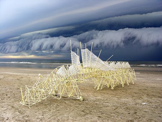 Theo Jansen's Strandbeests Walk New England Beaches