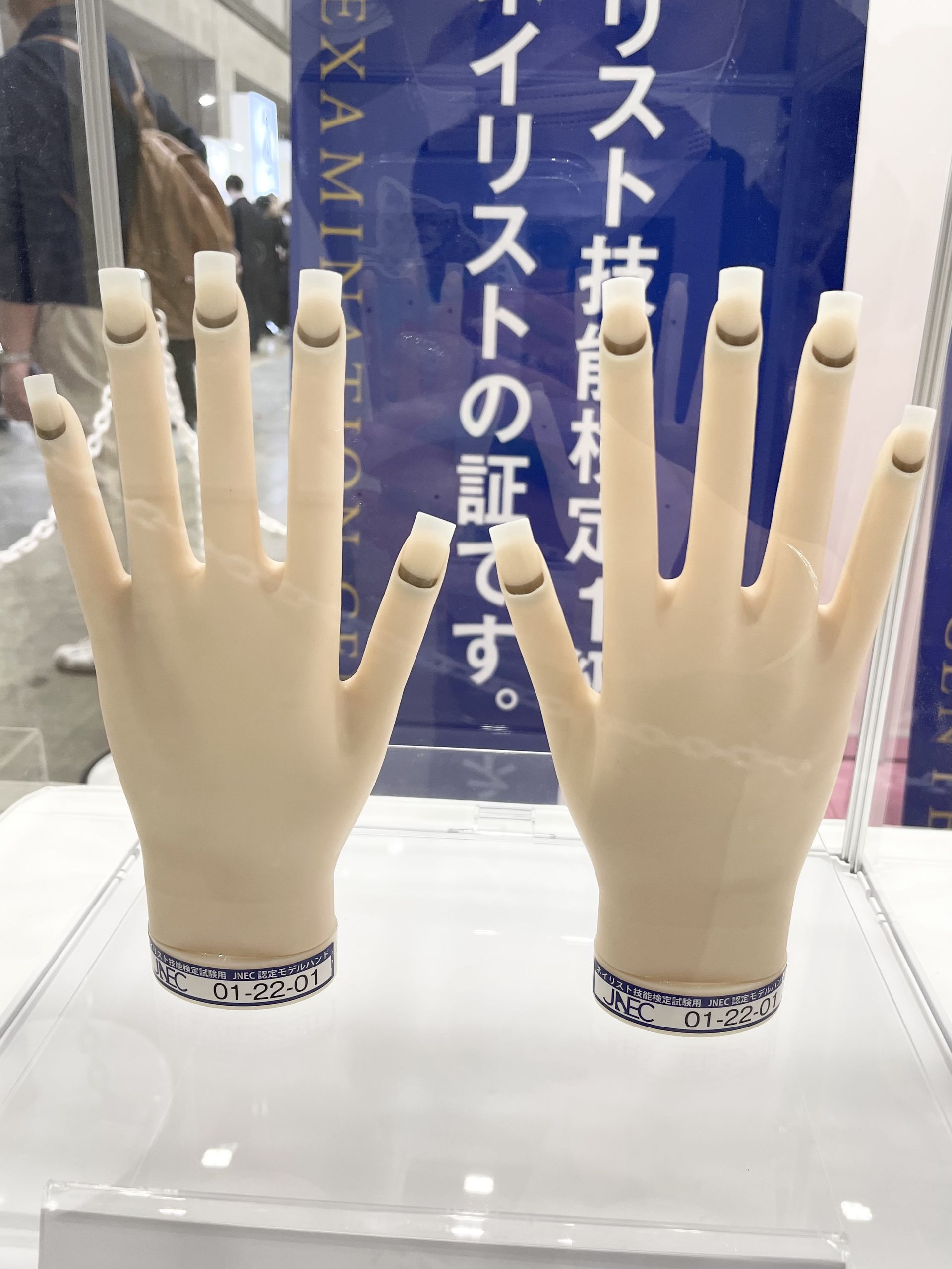 認定モデルハンド検定セット STモデルハンド セット | Nail Labo