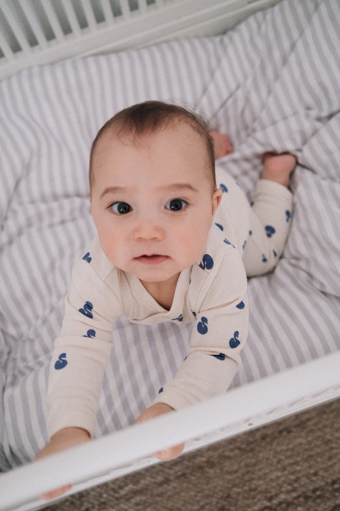 SWAN COVERALL – melted butter