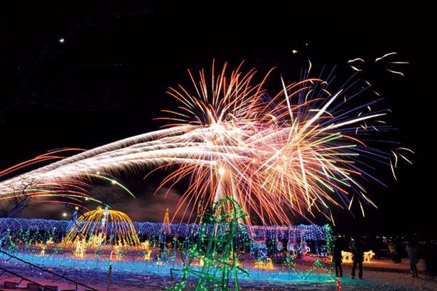 寒いからこそ美しい！大自然イルミ4選｜ウォーカープラス