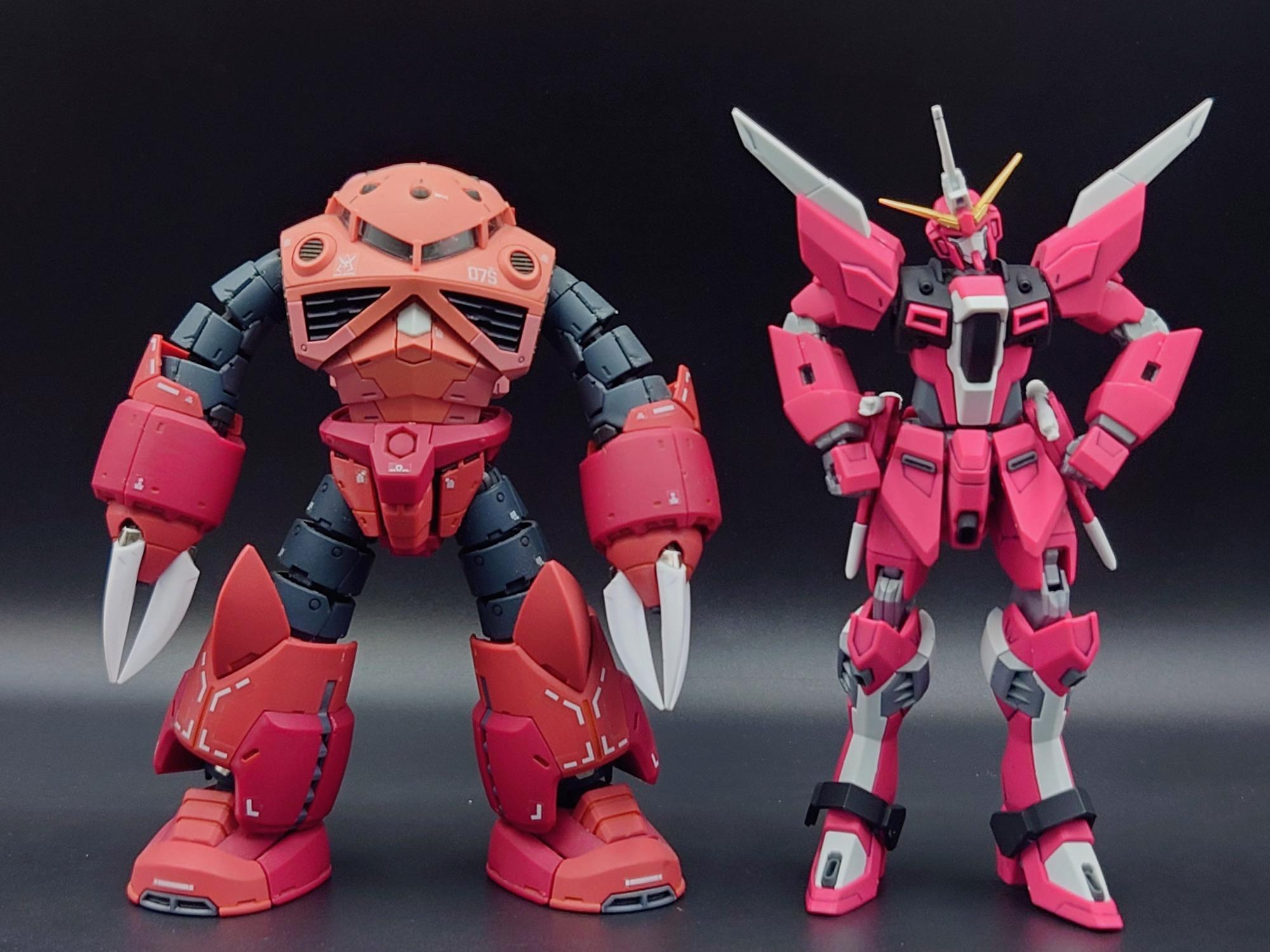 ズゴックから生まれ落ちた注目機【HGインフィニット ジャスティス