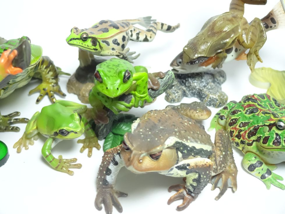 原色両生類カエル図鑑[新改訂版]