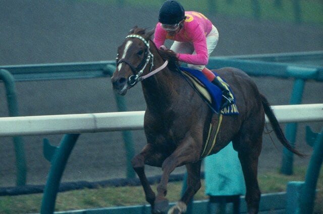 ギャラリー】秘蔵写真！ディープインパクト、オルフェーヴル、オグリ