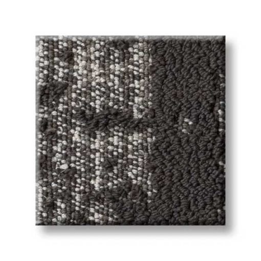 Shaw Anderson Tuftex Carpet - Discover ZZ329 - Color: Charcoals