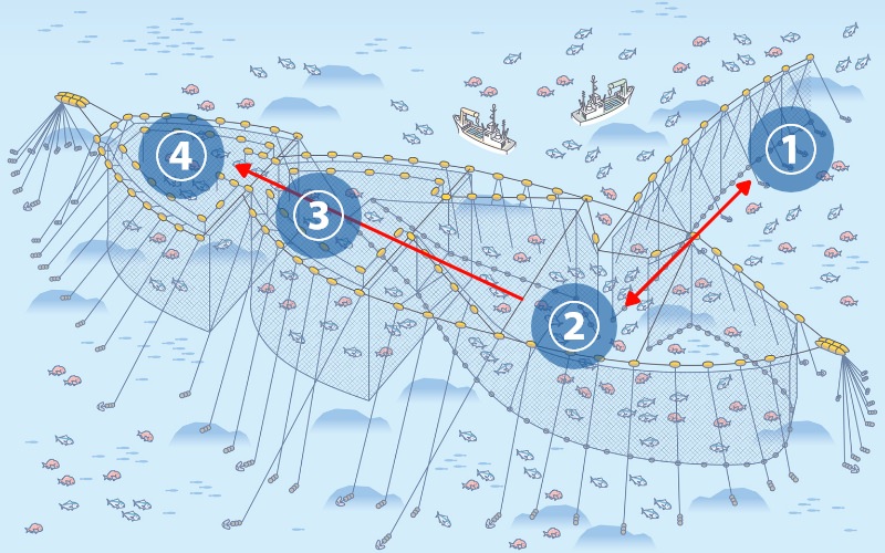 大隅地域の漁法 - 大隅のさかな