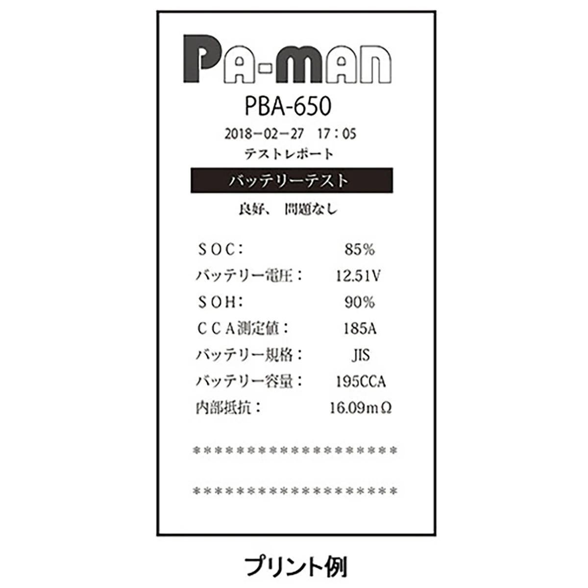 公式】パーマンショップ-バッテリーアナライザー DC12V プリンター内蔵