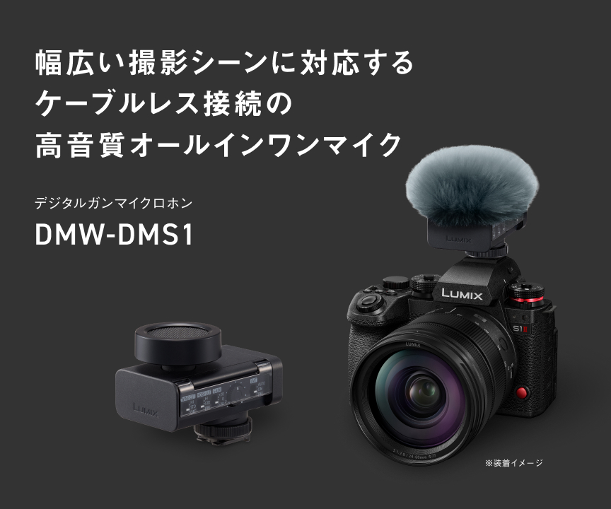 カテゴリー概要 | デジタルカメラ（ルミックス） | Panasonic