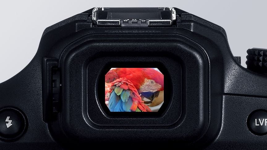 コンパクトなボディに超広角＆超望遠ズーム｜特長 デジタルカメラ DC-FZ85D