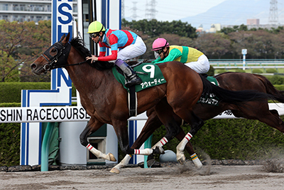 出走馬紹介 ドバイワールドカップデー特集2017