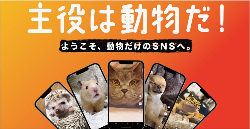 優秀賞に輝いた動画は渋谷の巨大ビジョンで放映される？！動物専門SNS