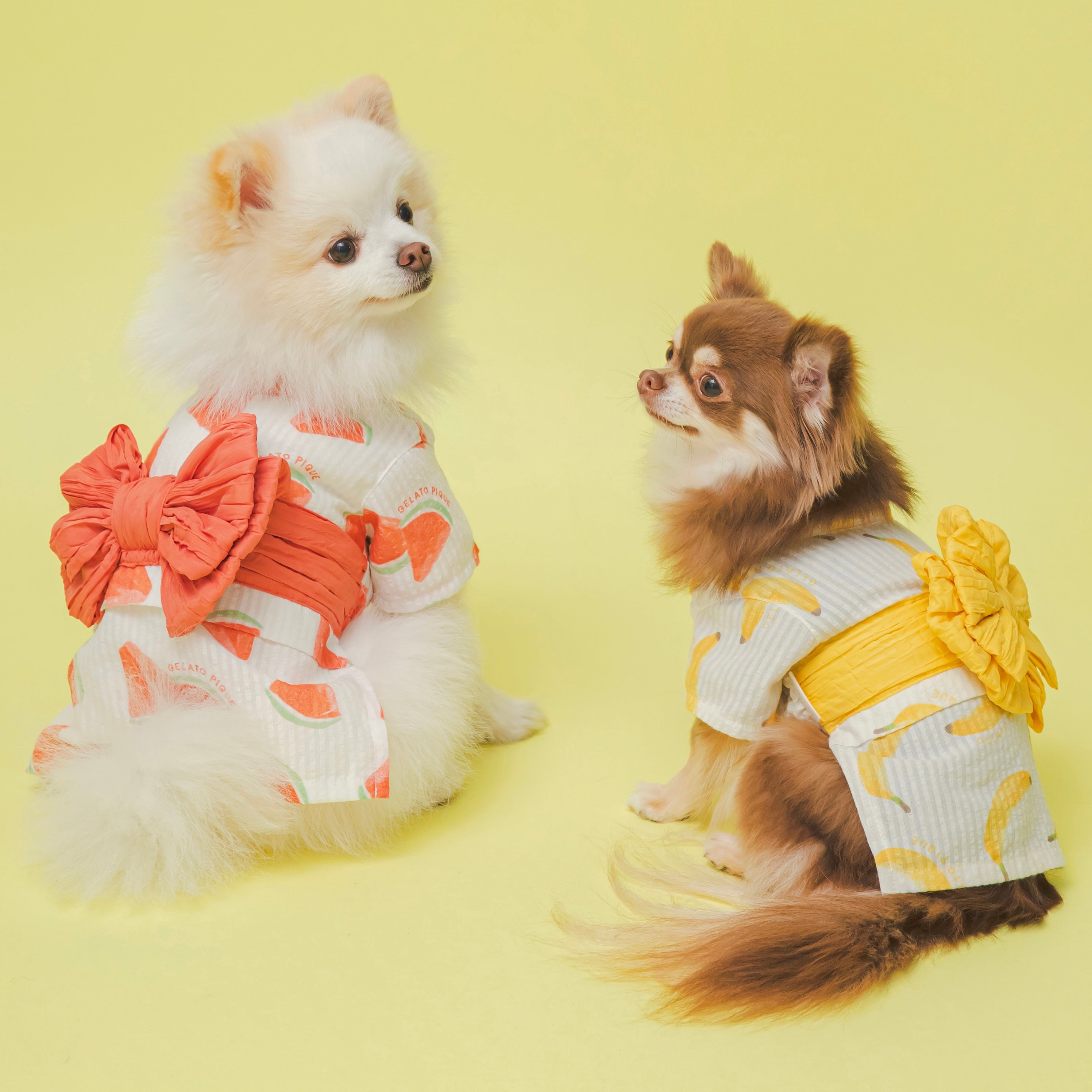 gelato pique(ジェラート ピケ)】松坂屋 名古屋店にて「GELATO PIQUE