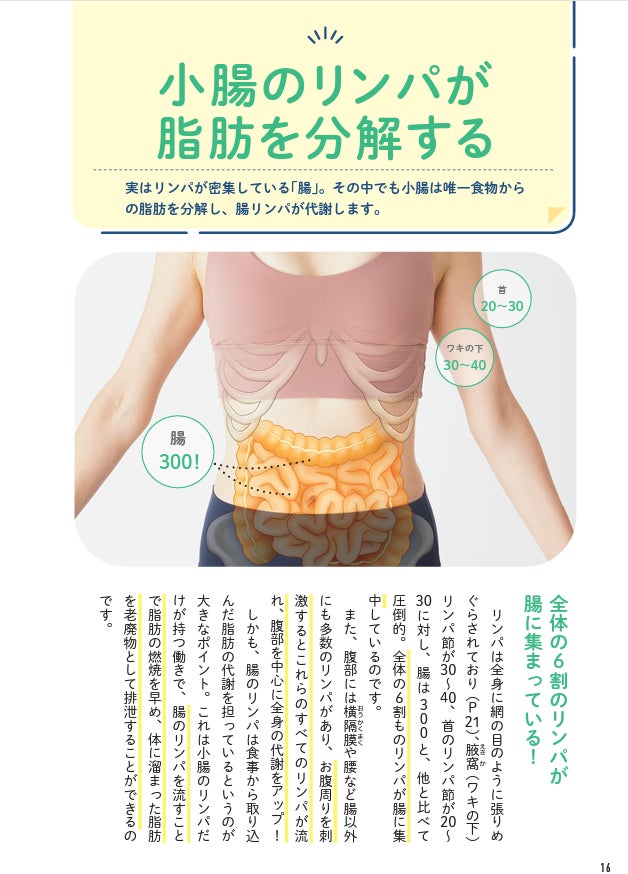 1日5分つかんでねじるだけでやせる『腸リンパを流せば驚くほどお腹から